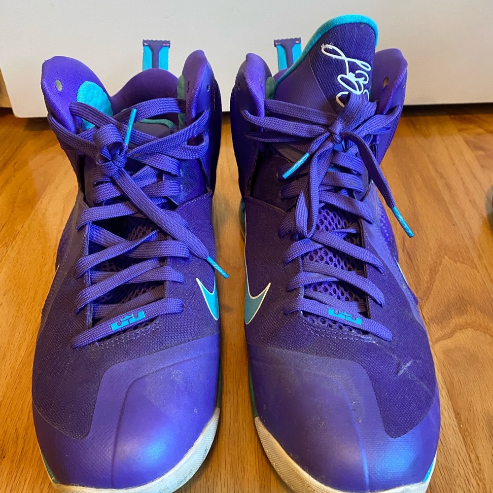 Lebron Nike summit Hornet 9s